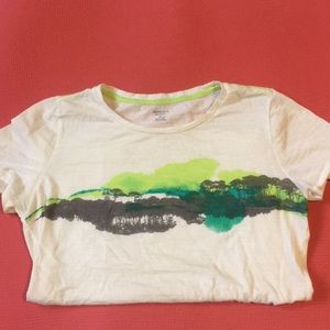 Icebreaker Merino Wool Tee